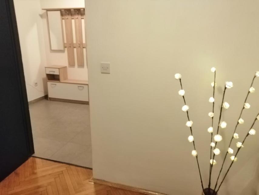 Apartman Sanja Pula Dış mekan fotoğraf